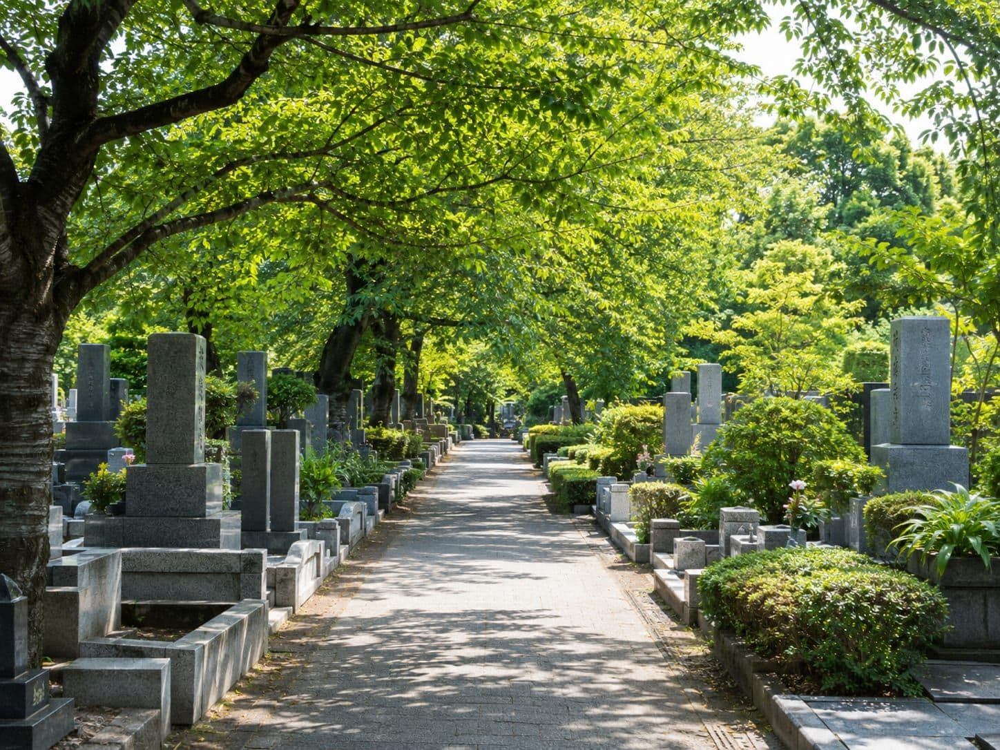 千葉県内の風景